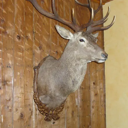 Zum Roten Hirsch Im Gruenen Wald Saalfeld Saale