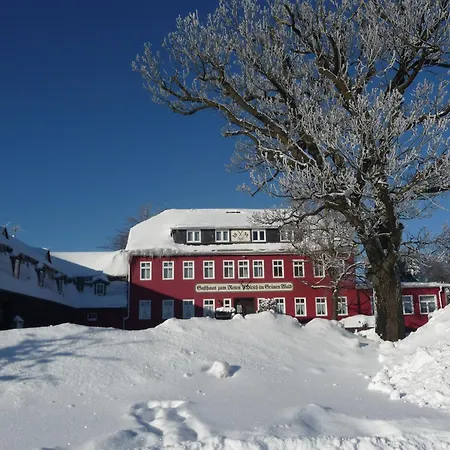 Hotel Zum Roten Hirsch Im Gruenen Wald Saalfeld Saale