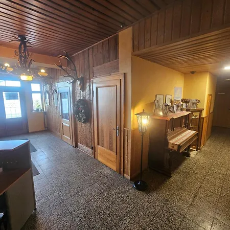 Zum Roten Hirsch Im Gruenen Wald Hotel 3*
