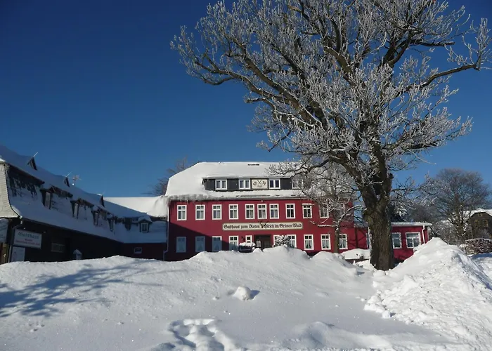 Hotel Zum Roten Hirsch Im Gruenen Wald Saalfeld Saale