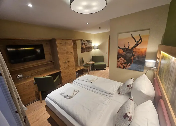 Hotel Zum Roten Hirsch Im Gruenen Wald 3*