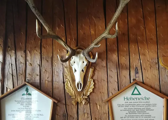 Zum Roten Hirsch Im Gruenen Wald 3* Saalfeld Saale