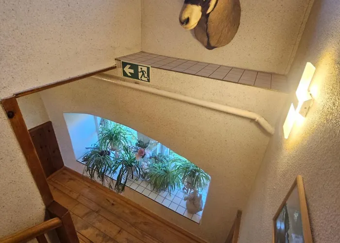 Hotel Zum Roten Hirsch Im Gruenen Wald Saalfeld Saale